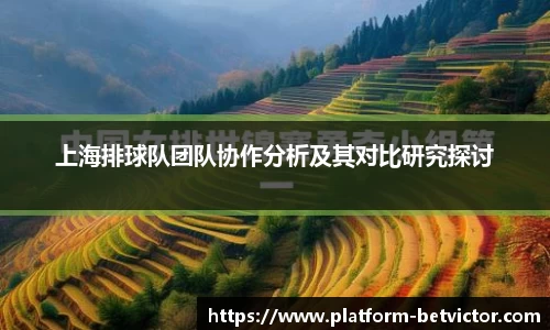 上海排球队团队协作分析及其对比研究探讨